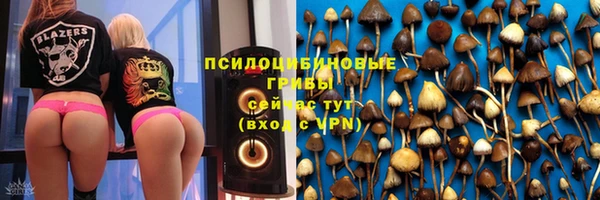 круглые Алзамай